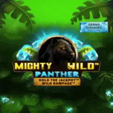 Mighty Wild Panther